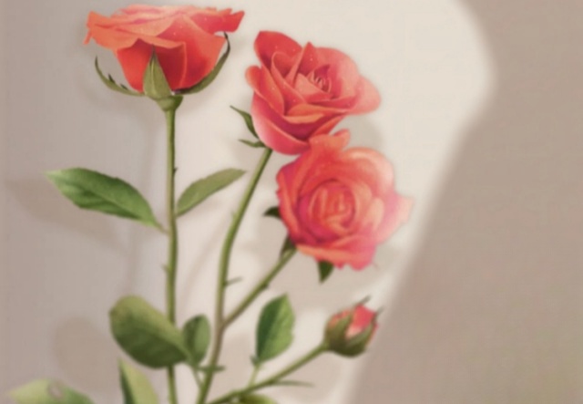 祝天下女神們節(jié)日快樂?。?！